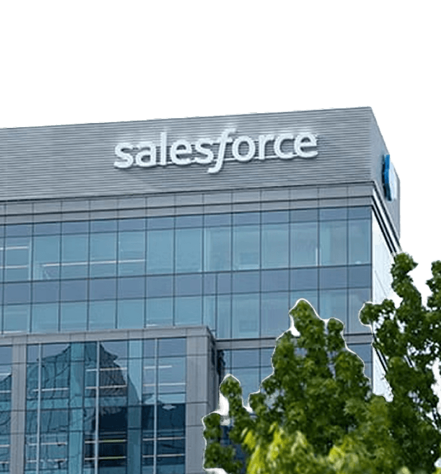 Salesforce illustration